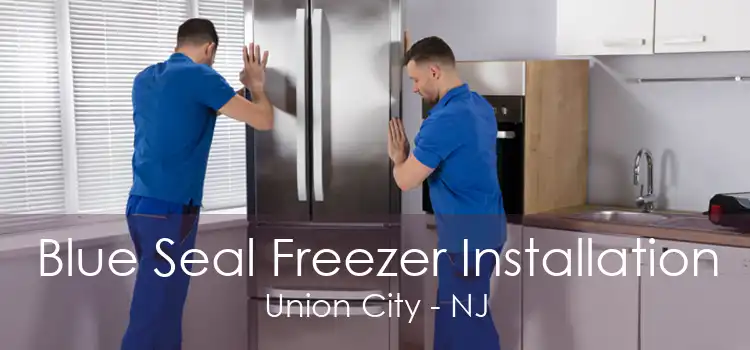 Blue Seal Freezer Installation Union City - NJ