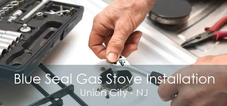 Blue Seal Gas Stove Installation Union City - NJ