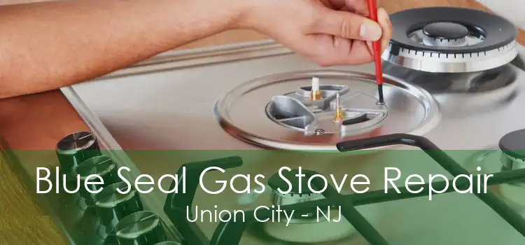 Blue Seal Gas Stove Repair Union City - NJ