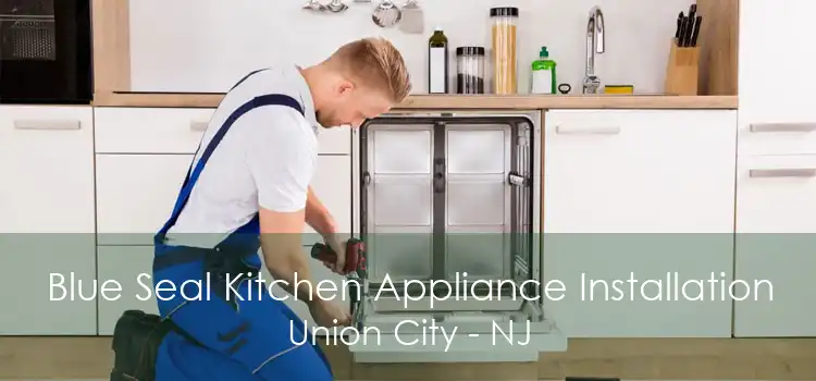 Blue Seal Kitchen Appliance Installation Union City - NJ