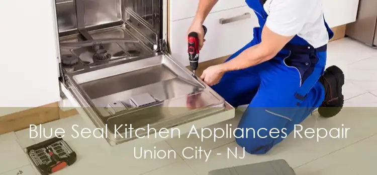 Blue Seal Kitchen Appliances Repair Union City - NJ