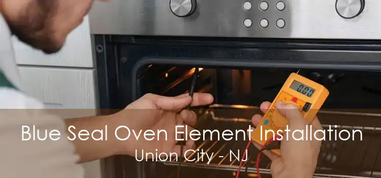 Blue Seal Oven Element Installation Union City - NJ