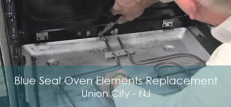 Blue Seal Oven Elements Replacement Union City - NJ