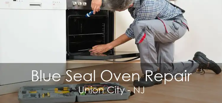 Blue Seal Oven Repair Union City - NJ