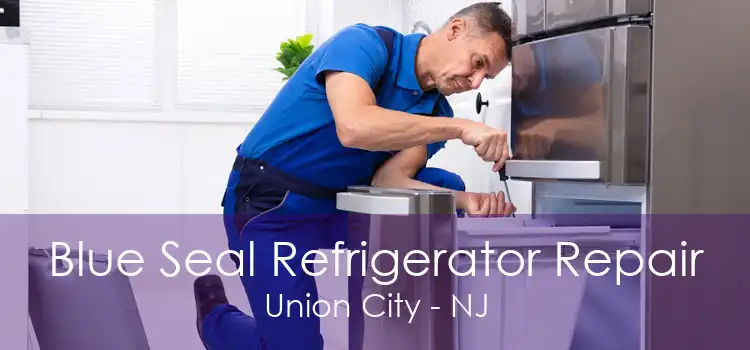 Blue Seal Refrigerator Repair Union City - NJ