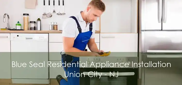 Blue Seal Residential Appliance Installation Union City - NJ