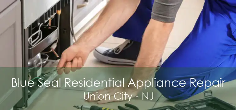 Blue Seal Residential Appliance Repair Union City - NJ