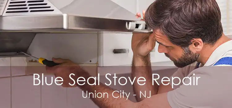 Blue Seal Stove Repair Union City - NJ