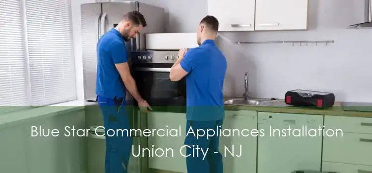 Blue Star Commercial Appliances Installation Union City - NJ