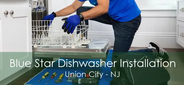 Blue Star Dishwasher Installation Union City - NJ