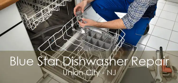 Blue Star Dishwasher Repair Union City - NJ