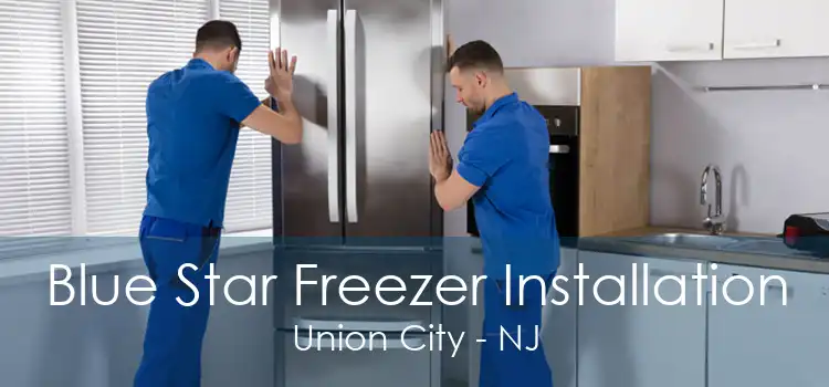 Blue Star Freezer Installation Union City - NJ