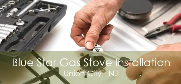 Blue Star Gas Stove Installation Union City - NJ