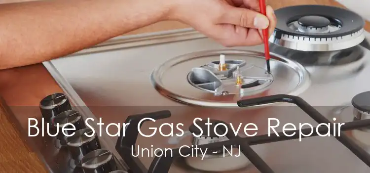 Blue Star Gas Stove Repair Union City - NJ