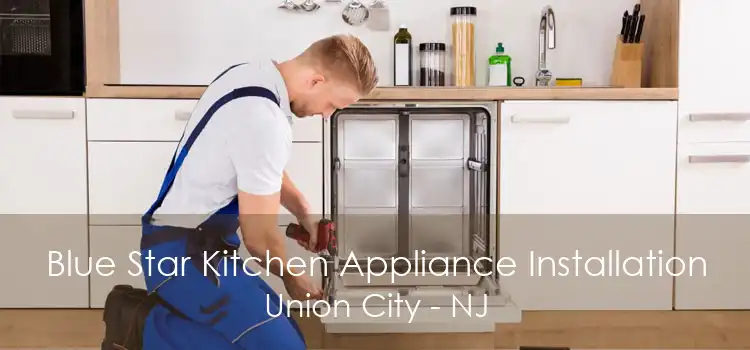 Blue Star Kitchen Appliance Installation Union City - NJ