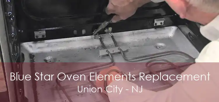 Blue Star Oven Elements Replacement Union City - NJ