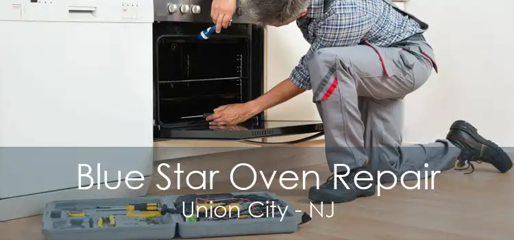 Blue Star Oven Repair Union City - NJ