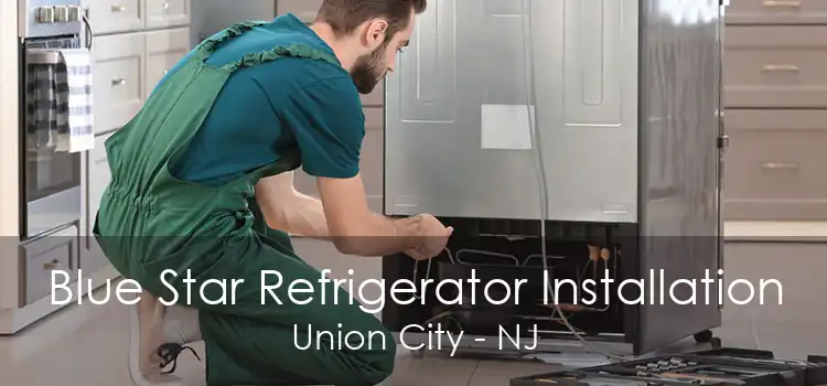 Blue Star Refrigerator Installation Union City - NJ