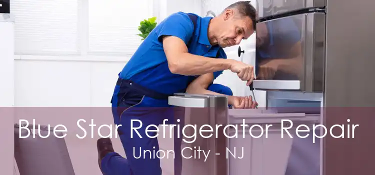 Blue Star Refrigerator Repair Union City - NJ