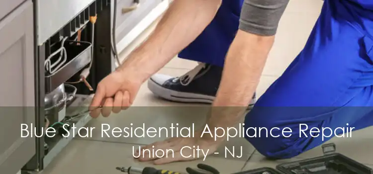 Blue Star Residential Appliance Repair Union City - NJ