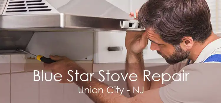 Blue Star Stove Repair Union City - NJ