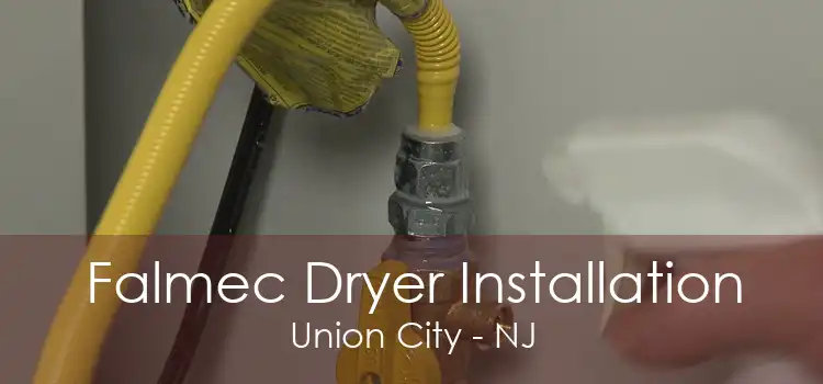 Falmec Dryer Installation Union City - NJ