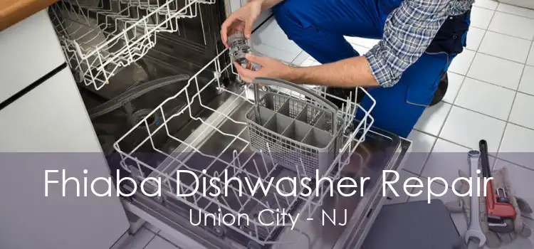 Fhiaba Dishwasher Repair Union City - NJ