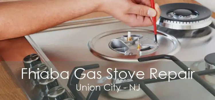 Fhiaba Gas Stove Repair Union City - NJ