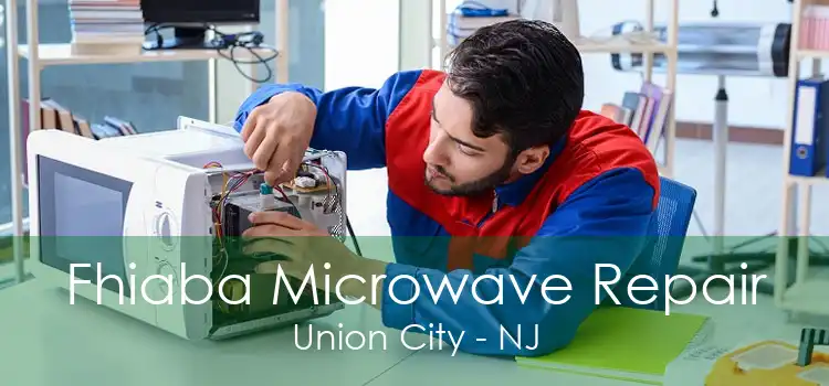 Fhiaba Microwave Repair Union City - NJ