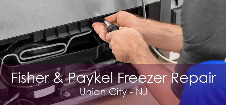 Fisher & Paykel Freezer Repair Union City - NJ