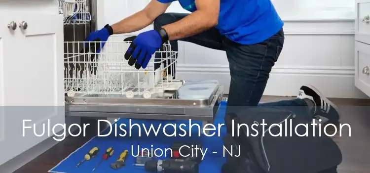 Fulgor Dishwasher Installation Union City - NJ