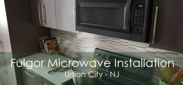 Fulgor Microwave Installation Union City - NJ