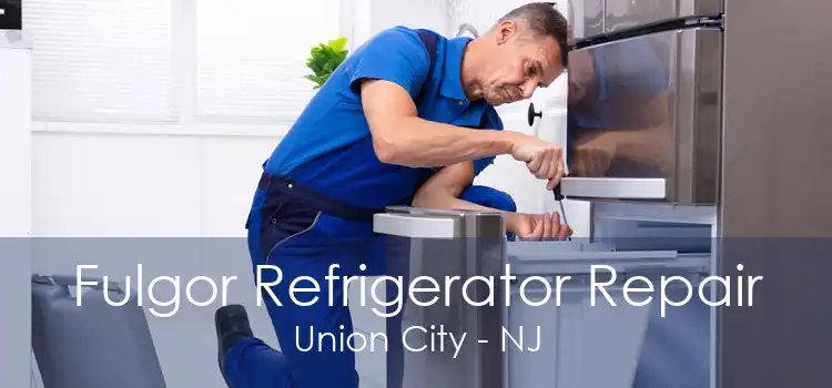 Fulgor Refrigerator Repair Union City - NJ