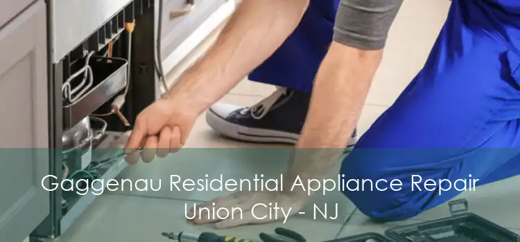 Gaggenau Residential Appliance Repair Union City - NJ