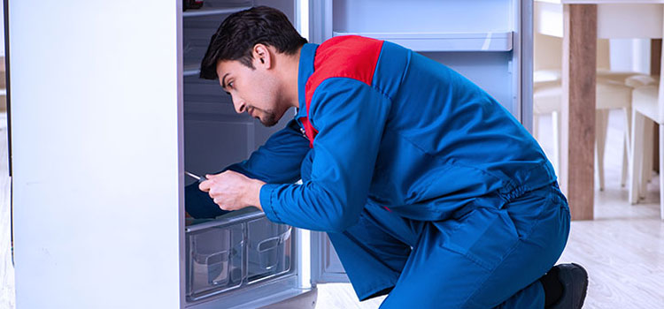 Freezer Repair Services in Union City, New Jersey