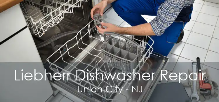 Liebherr Dishwasher Repair Union City - NJ