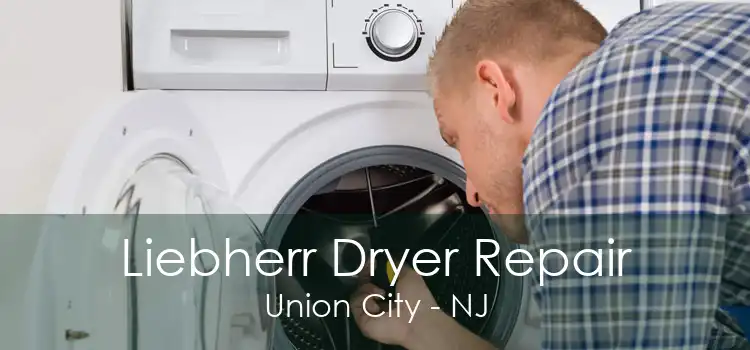 Liebherr Dryer Repair Union City - NJ