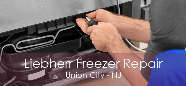 Liebherr Freezer Repair Union City - NJ