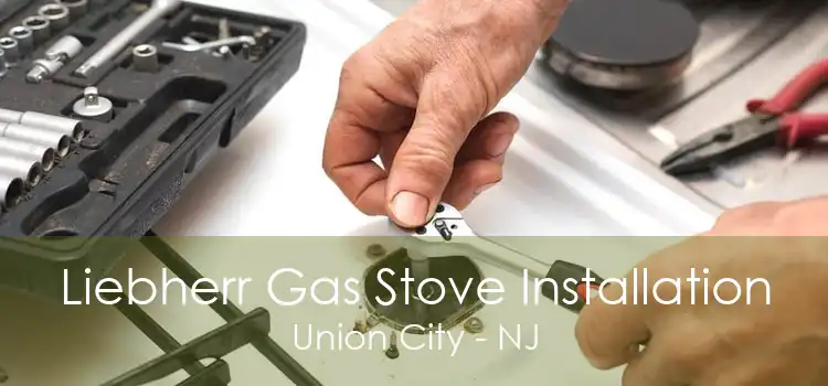 Liebherr Gas Stove Installation Union City - NJ