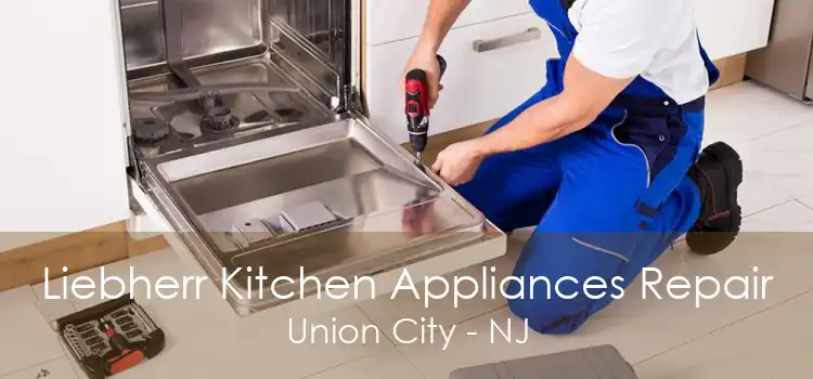 Liebherr Kitchen Appliances Repair Union City - NJ