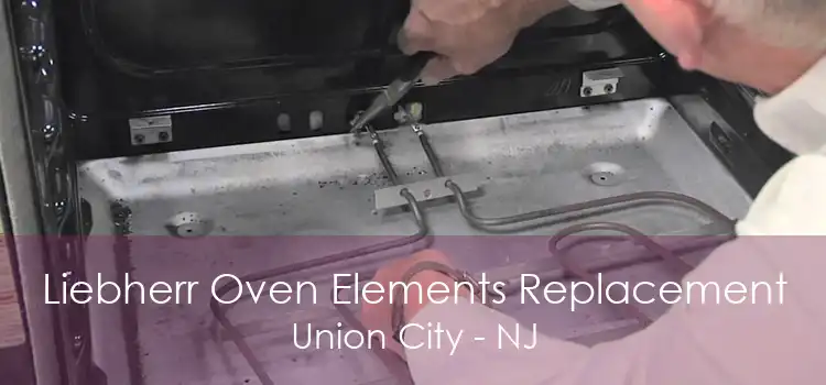 Liebherr Oven Elements Replacement Union City - NJ