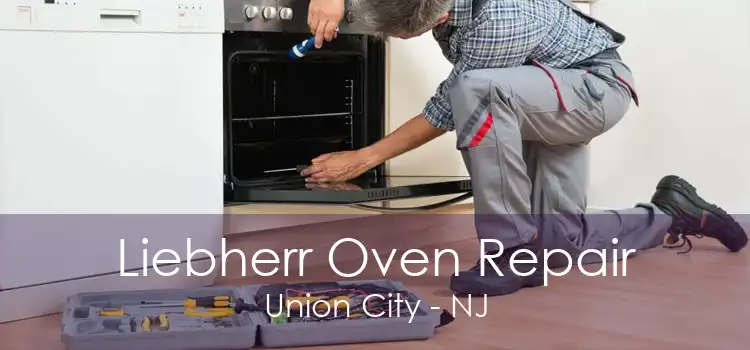 Liebherr Oven Repair Union City - NJ