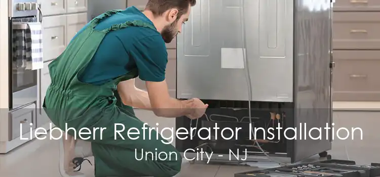 Liebherr Refrigerator Installation Union City - NJ