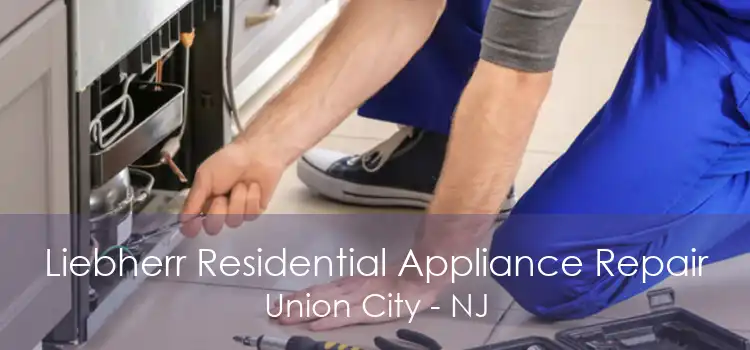 Liebherr Residential Appliance Repair Union City - NJ