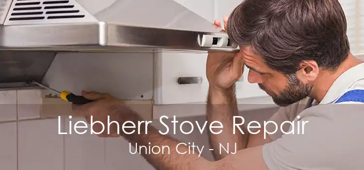 Liebherr Stove Repair Union City - NJ