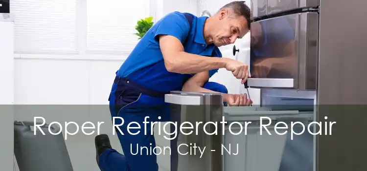 Roper Refrigerator Repair Union City - NJ