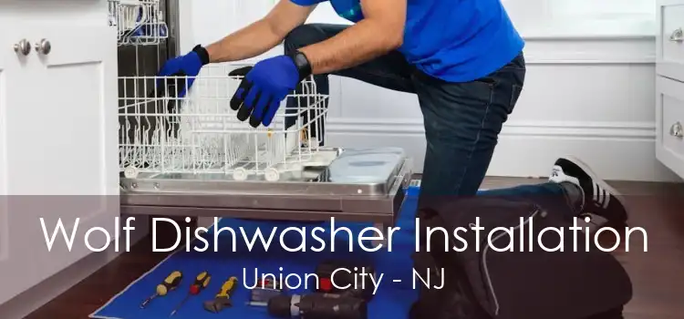 Wolf Dishwasher Installation Union City - NJ