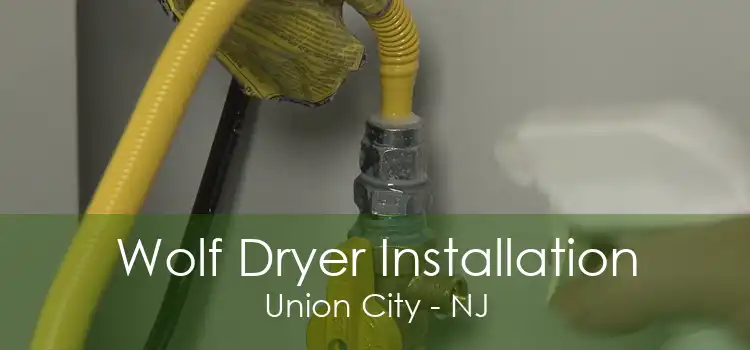 Wolf Dryer Installation Union City - NJ