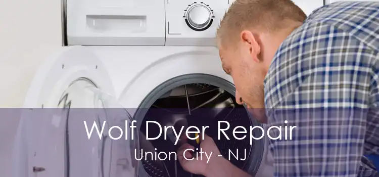 Wolf Dryer Repair Union City - NJ