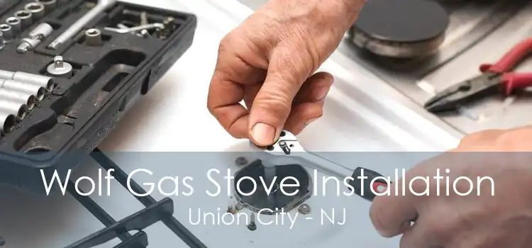 Wolf Gas Stove Installation Union City - NJ